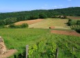 Programme Neuf Les Jardins du Moulin Saint-Romain-au-Mont-d'Or